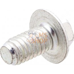 Vis | BRIGGS & STRATTON Vis | BRIGGS & STRATTONPR#404054