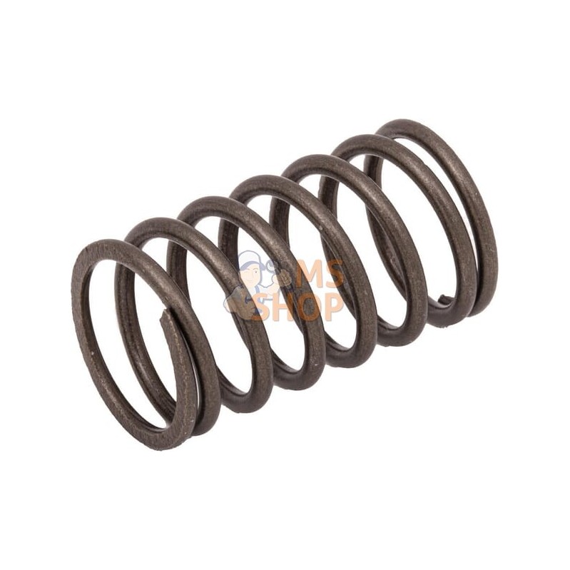 Ressort de soupape | BRIGGS & STRATTON Ressort de soupape | BRIGGS & STRATTONPR#404077