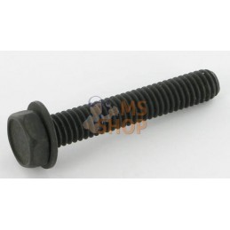 Boulon | BRIGGS & STRATTON Boulon | BRIGGS & STRATTONPR#42029