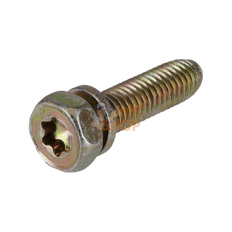 Boulon | BRIGGS & STRATTON Boulon | BRIGGS & STRATTONPR#42022