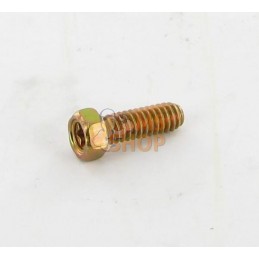 Boulon | BRIGGS & STRATTON Boulon | BRIGGS & STRATTONPR#101657