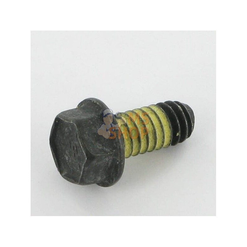 Boulon | BRIGGS & STRATTON Boulon | BRIGGS & STRATTONPR#101714