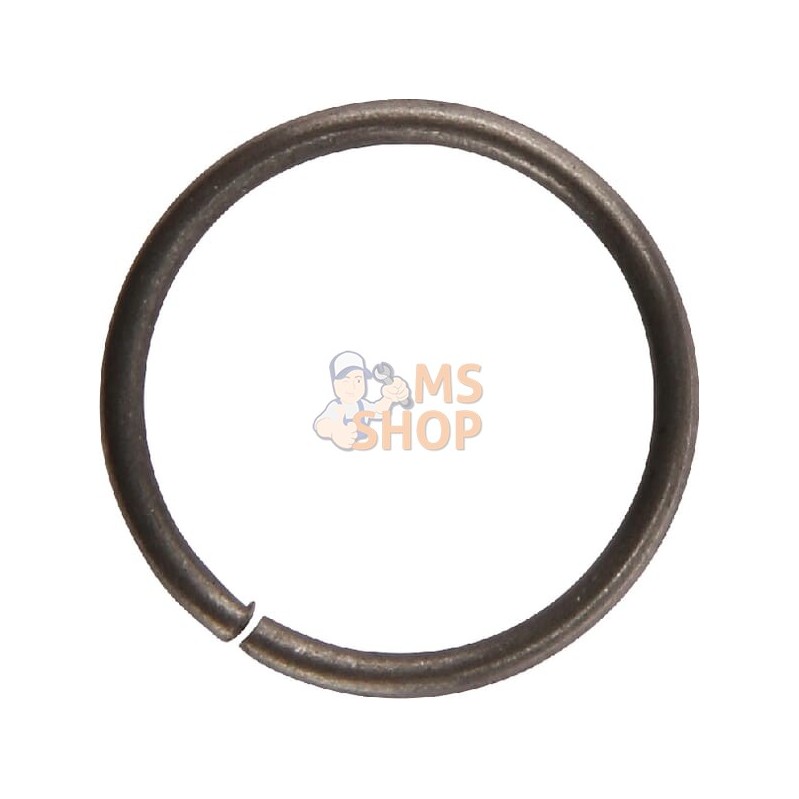 Bague | BRIGGS & STRATTON Bague | BRIGGS & STRATTONPR#41929