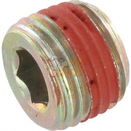 Bouchon | BRIGGS & STRATTON Bouchon | BRIGGS & STRATTONPR#25759