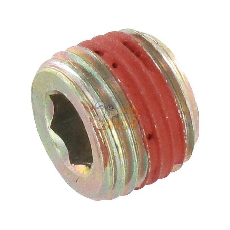 Bouchon | BRIGGS & STRATTON Bouchon | BRIGGS & STRATTONPR#25759