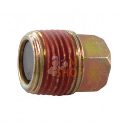 Bouchon de carter | BRIGGS & STRATTON Bouchon de carter | BRIGGS & STRATTONPR#25234