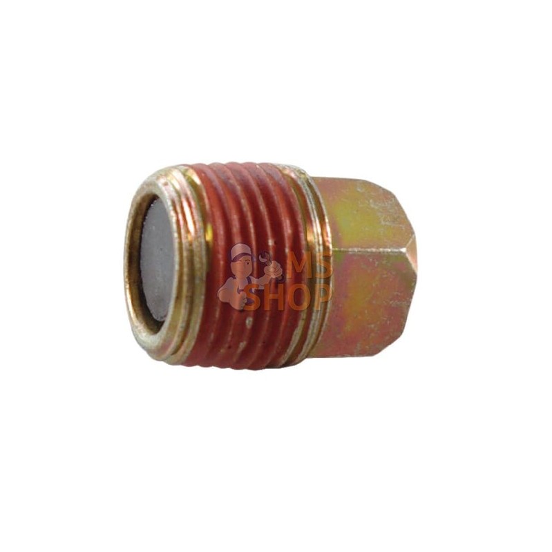 Bouchon de carter | BRIGGS & STRATTON Bouchon de carter | BRIGGS & STRATTONPR#25234