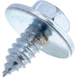 Vis auto-perforante 8x19mm,tête hexagonale de 13 mm, DIN 6901 Kramp | KRAMP Vis auto-perforante 8x19mm,tête hexagonale de 13 mm,