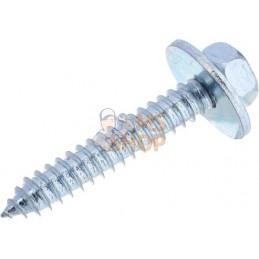 Vis auto-perforante 6.3x38mm tête hexagonale de 10 mm, DIN 6901 Kramp | KRAMP Vis auto-perforante 6.3x38mm tête hexagonale de 10
