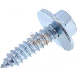 Vis auto-perforante 6.3x25mm tête hexagonale de 10 mm, DIN 6901 Kramp | KRAMP Vis auto-perforante 6.3x25mm tête hexagonale de 10