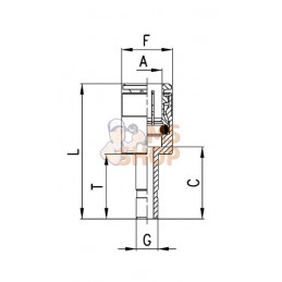 Accouplement rapide femelle | CAMOZZI Accouplement rapide femelle | CAMOZZIPR#853287