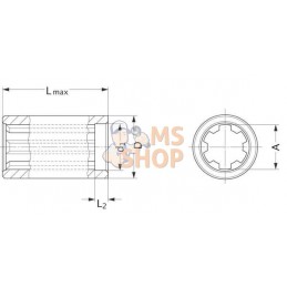 Douille profilée 80mm 6x21x25 | WALTERSCHEID Douille profilée 80mm 6x21x25 | WALTERSCHEIDPR#513817