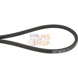 Courroie trapézoïdale | TORO Courroie trapézoïdale | TOROPR#854655