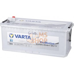 Batterie 12V 170Ah 1000A ProMotive SHD Super Heavy Duty VARTA | VARTA Batterie 12V 170Ah 1000A ProMotive SHD Super Heavy Duty VA