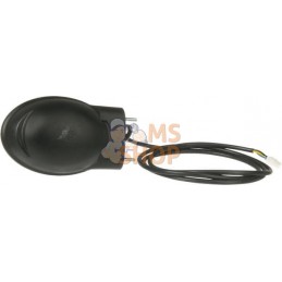 Light | LANDINI Light | LANDINIPR#1075069
