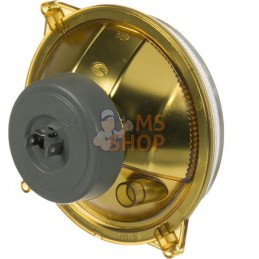 Light | LANDINI Light | LANDINIPR#1075054