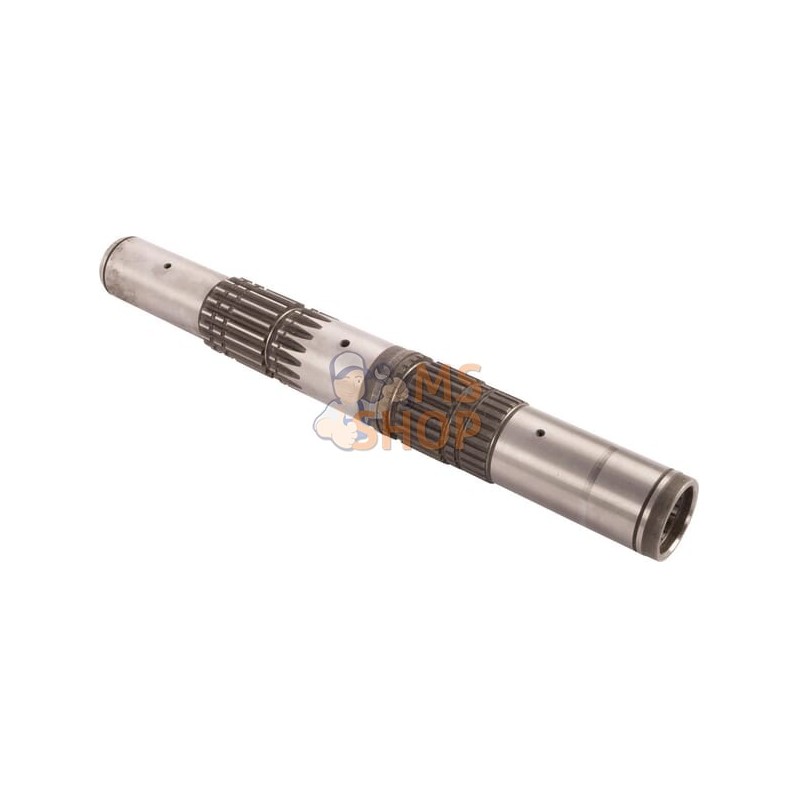 Shaft | LANDINI Shaft | LANDINIPR#1075046