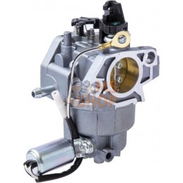 Ensemble carburateur | MTD Ensemble carburateur | MTDPR#724187