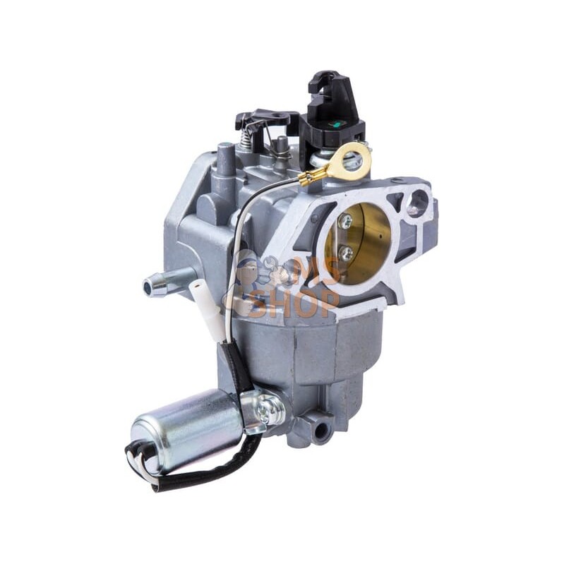 Ensemble carburateur | MTD Ensemble carburateur | MTDPR#724187