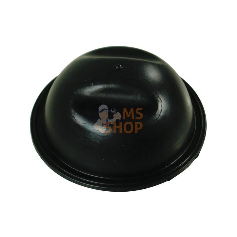 Membrane caoutchouc | ANNOVI REVERBERI Membrane caoutchouc | ANNOVI REVERBERIPR#895186 Membrane caoutchouc | ANNOVI REVERBERI Membrane caoutchouc | ANNOVI REVERBERIPR#895186