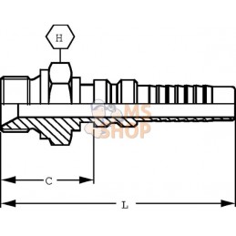 Raccord à sertir 4SH-DN20-3/4" BSP | ALFAGOMMA Raccord à sertir 4SH-DN20-3/4" BSP | ALFAGOMMAPR#1126738