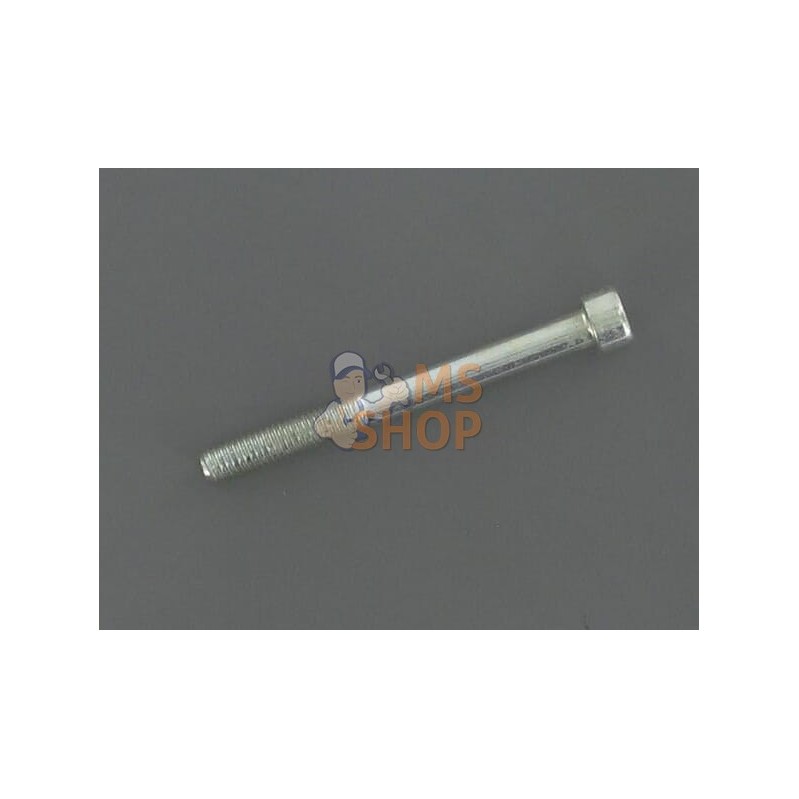 Vis chc M6-65,8.8 | ETESIA Vis chc M6-65,8.8 | ETESIAPR#1126888