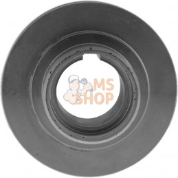 Poulie Ø 25 | ETESIA Poulie Ø 25 | ETESIAPR#346898