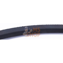 Courroie pour lame | ETESIA Courroie pour lame | ETESIAPR#346856