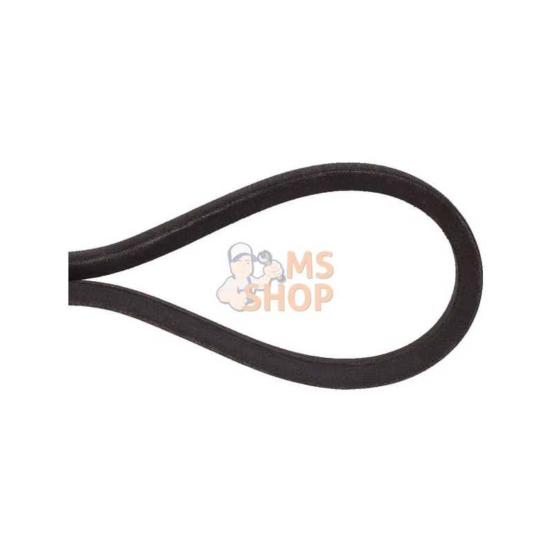 Courroir trans.av | ETESIA Courroir trans.av | ETESIAPR#22320