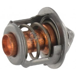 Thermostat | ETESIA Thermostat | ETESIAPR#21962