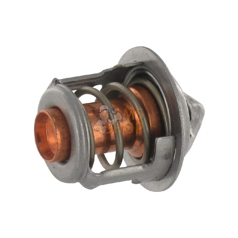 Thermostat | ETESIA Thermostat | ETESIAPR#21962