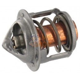 Thermostat | ETESIA Thermostat | ETESIAPR#21962