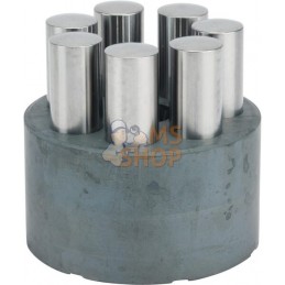 Pompe a piston | ETESIA Pompe a piston | ETESIAPR#346280