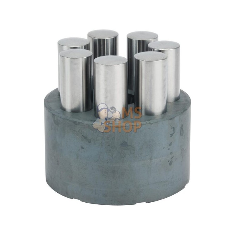 Pompe a piston | ETESIA Pompe a piston | ETESIAPR#346280