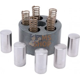 Pompe a piston | ETESIA Pompe a piston | ETESIAPR#346219