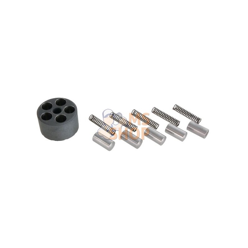 Kit de pompe | ETESIA Kit de pompe | ETESIAPR#7339