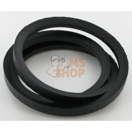 Courroie Emb Elec | ETESIA Courroie Emb Elec | ETESIAPR#695973