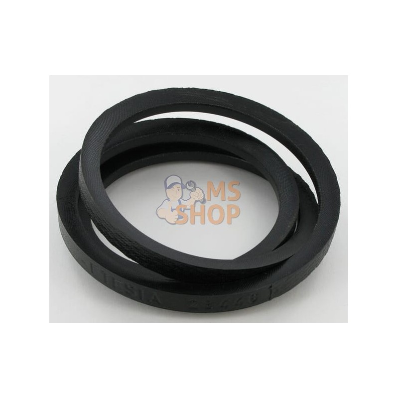 Courroie Emb Elec | ETESIA Courroie Emb Elec | ETESIAPR#695973 Courroie Emb Elec | ETESIA Courroie Emb Elec | ETESIAPR#695973