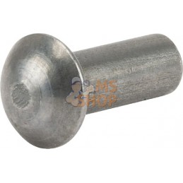 Rivet 6x15 DIN 660 | ETESIA Rivet 6x15 DIN 660 | ETESIAPR#16665