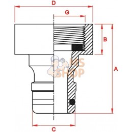 Pièce de robinetterie 21 mm 1/2" filetage femelle | GARDENA Pièce de robinetterie 21 mm 1/2" filetage femelle | GARDENAPR#112710