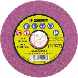 Disque abrasif 105 x 6,0 x 22 mm | TECOMEC Disque abrasif 105 x 6,0 x 22 mm | TECOMECPR#1127121