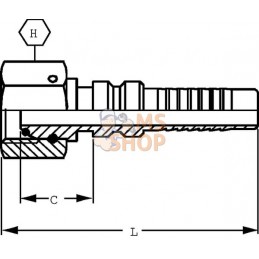 Raccord à sertir 4SH-DN20-3/4" BSP | ALFAGOMMA Raccord à sertir 4SH-DN20-3/4" BSP | ALFAGOMMAPR#1127464