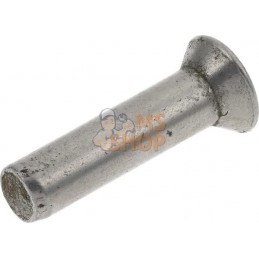 Rivet à tête fraisée 5 x 20 mm | TIELBÜRGER Rivet à tête fraisée 5 x 20 mm | TIELBÜRGERPR#1128332