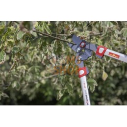 Elagueur coupe franche 45mm | OUTILS WOLF Elagueur coupe franche 45mm | OUTILS WOLFPR#1142571