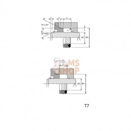 CH608032; HALLITE; Joint chevron 60 x 80 x 32; pièce detachée