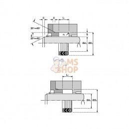 CH6075225; HALLITE; Joint chevron 60 x 75 x 22,5; pièce detachée