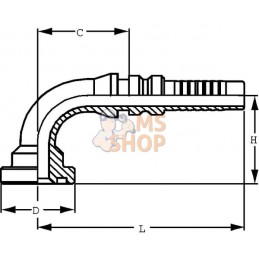 Raccord à sertir 4SH-DN20 avec flasque ø38,1 mm 90° | ALFAGOMMA Raccord à sertir 4SH-DN20 avec flasque ø38,1 mm 90° | ALFAGOMMAP