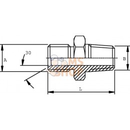 Adaptateur M 1/8BSPx1/8NPT in | DICSA Adaptateur M 1/8BSPx1/8NPT in | DICSAPR#1151488