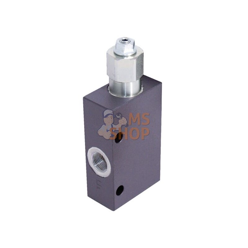 Soupape d'équilibrage N1116 3/8 G5P4 | WALVOIL Soupape d'équilibrage N1116 3/8 G5P4 | WALVOILPR#1151797 Soupape d'équilibrage N1116 3/8 G5P4 | WALVOIL Soupape d'équilibrage N1116 3/8 G5P4 | WALVOILPR#1151797