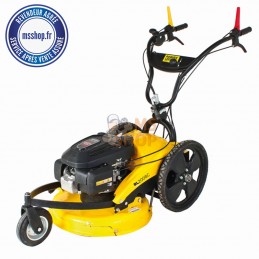 Faucheuse 3 roues confort - Moteur Briggs and Stratton 190cc - 53cm de coupe RL2008EC | ROQUES ET LECOEUR